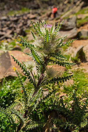 _MG_5045