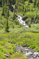 _MG_5029