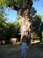 AzOTC Aspen Trip, October 2011