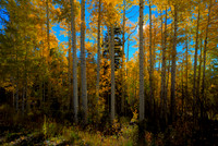 San Juan Fall Colors and First Snow