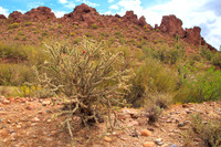 Florence AZ area 4X4 - April 20, 2014