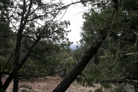 Hell's Gate Hike - 2012