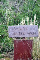 DSC_0299