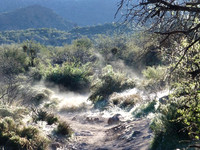 AzOTC First Water to Canyon Lake Hike - February 25, 2015